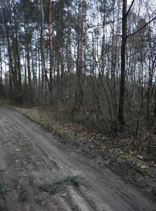 Działka rolna Kąck, ul. Partyzantów. Zdjęcie 3