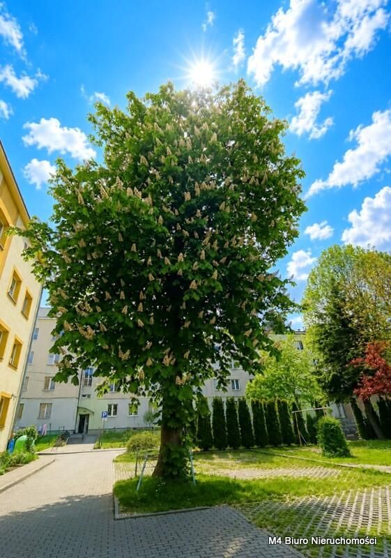 Mieszkanie 2-pokojowe Krosno. Zdjęcie 14