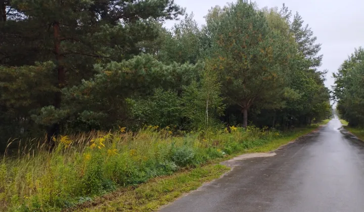 Działka budowlana Zaręby