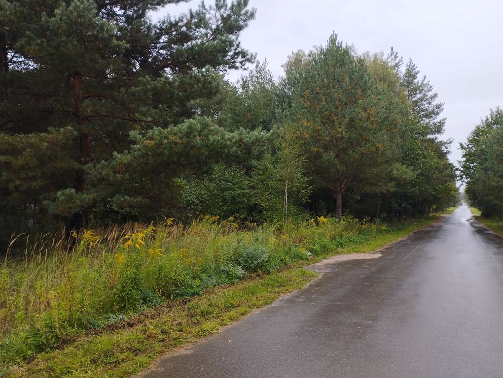 Działka budowlana Zaręby. Zdjęcie 1