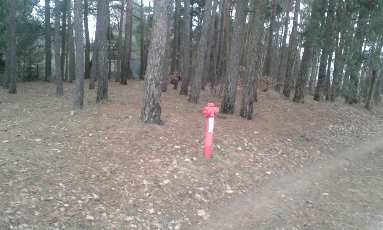 Działka rolno-budowlana Nowy Starogród. Zdjęcie 5