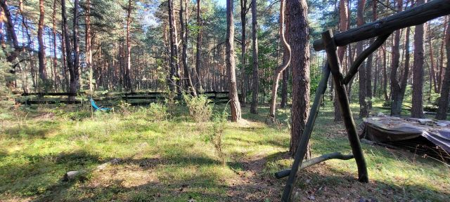 Działka Przybynów. Zdjęcie 1