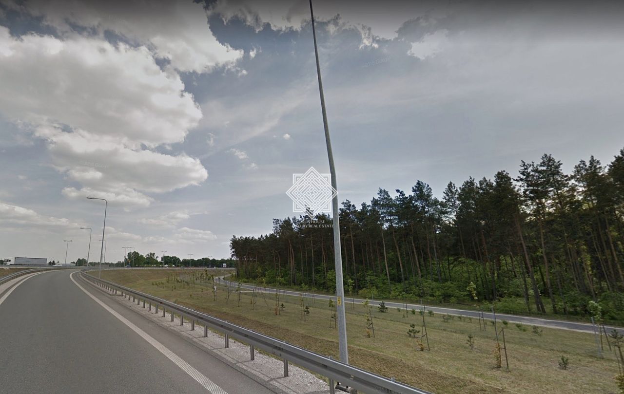 Działka leśna Kuczek. Zdjęcie 4