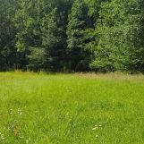 Działka rolna Rumy. Zdjęcie 4