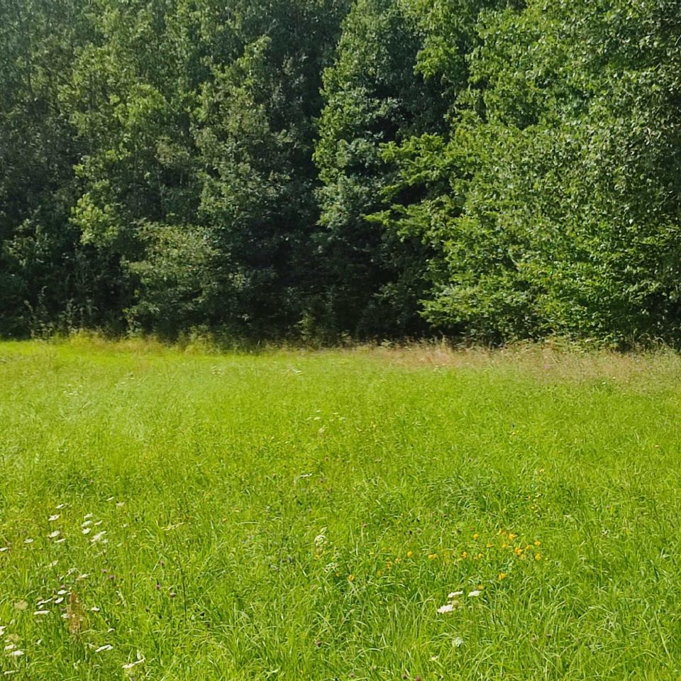 Działka rolna Rumy. Zdjęcie 5