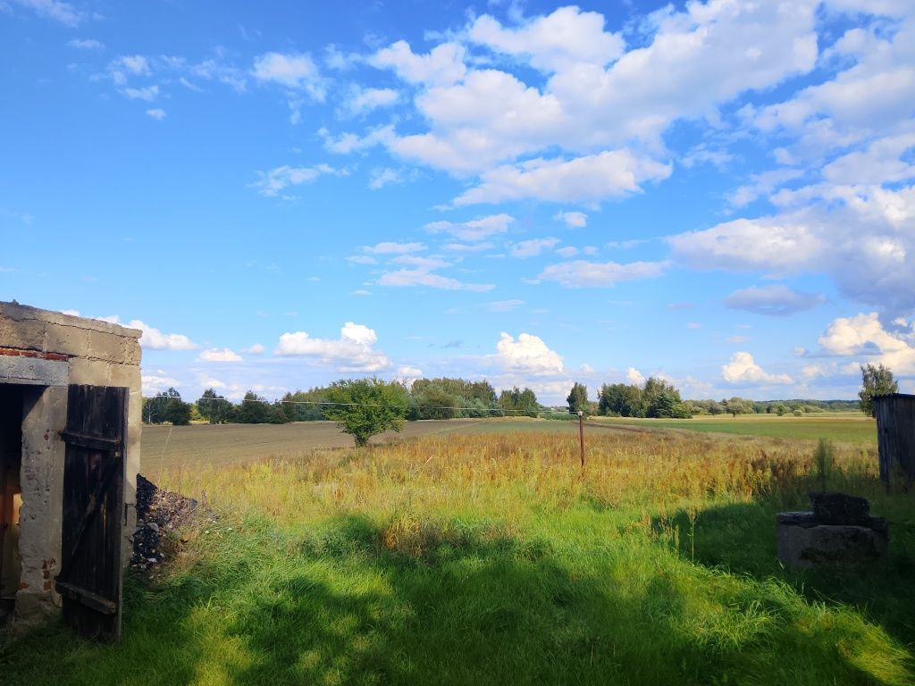 gospodarstwo Grzegorzew, ul. Otaląż. Zdjęcie 4