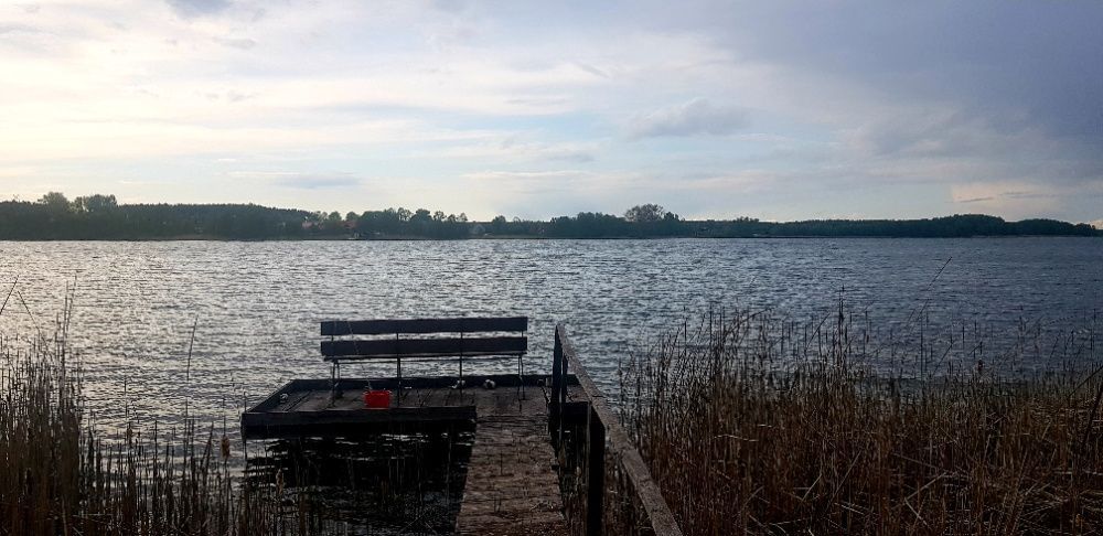 Działka rolno-budowlana Sypniewo. Zdjęcie 4