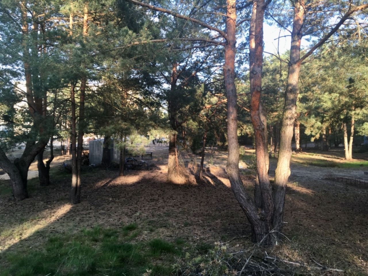 Działka rekreacyjna Toruń