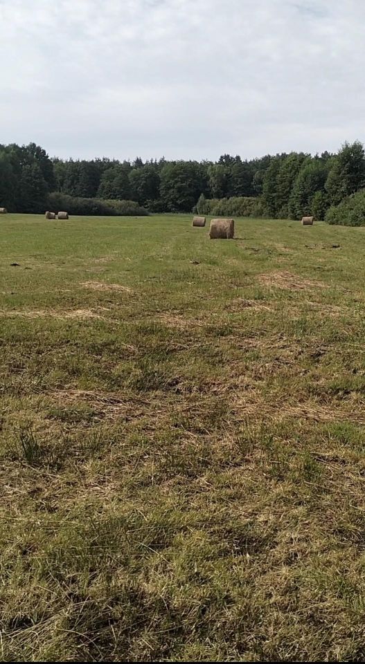 Działka inwestycyjna Rogóźno. Zdjęcie 2