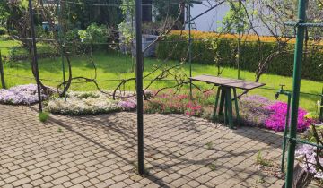 Działka rod Poznań Krzesiny, al. Pod Lipami