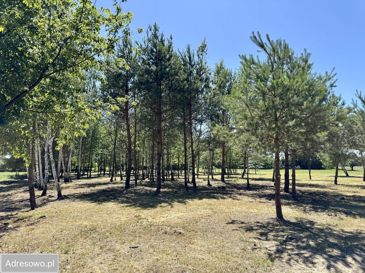 Działka budowlana Antoninów. Zdjęcie 18