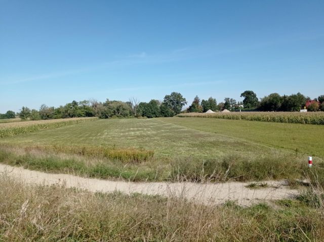 Działka rolna Krzyżanowice. Zdjęcie 1