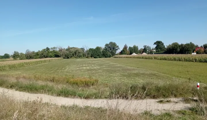 Działka rolna Krzyżanowice