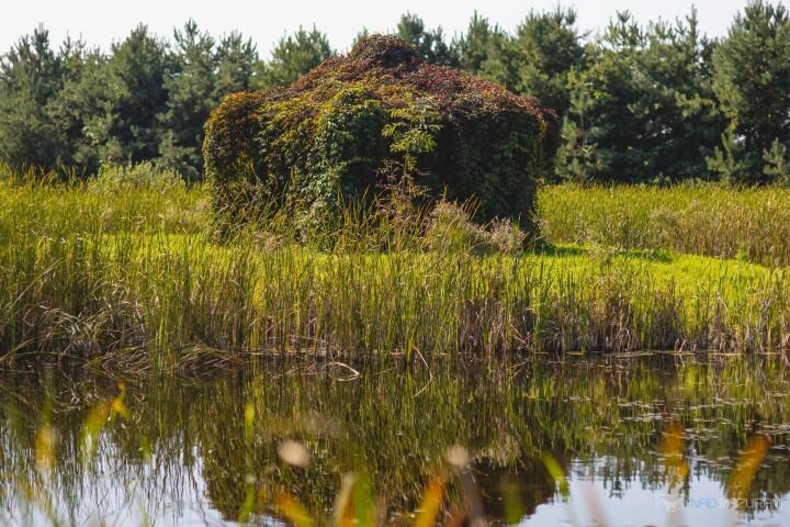 dom wolnostojący, 6 pokoi Czerwony Dwór. Zdjęcie 11