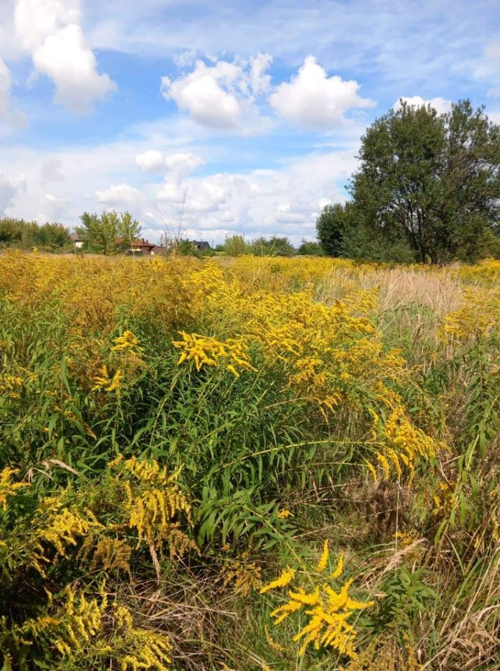 Działka budowlana Sosnowiec, ul. Stefana Starzyńskiego. Zdjęcie 4