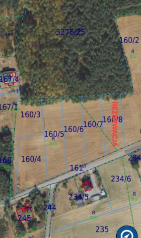 Działka budowlana Laskowice, Nowe Krąplewice. Zdjęcie 1