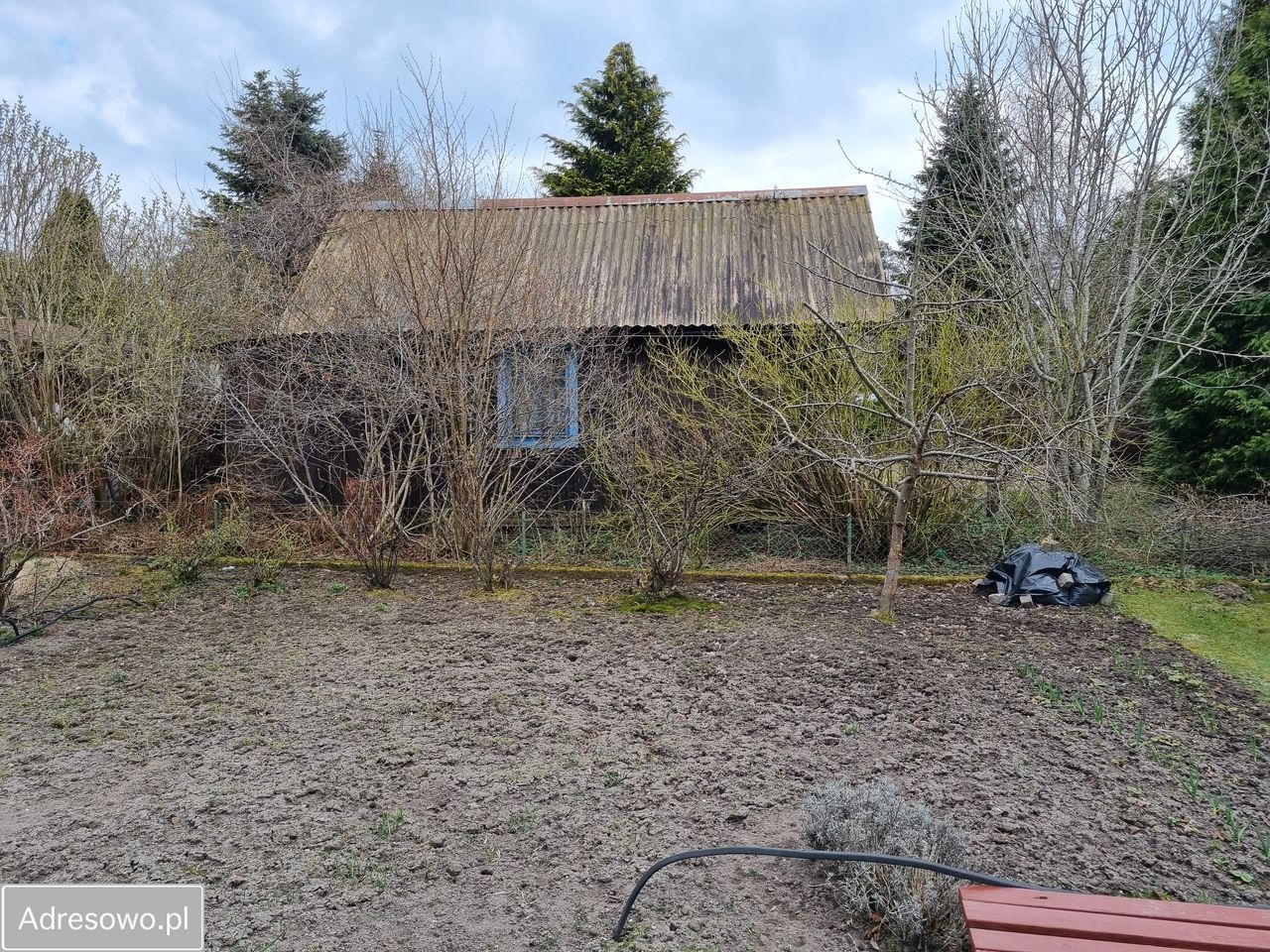 Działka rod Gdańsk Matarnia, ul. Meteorytowa. Zdjęcie 6