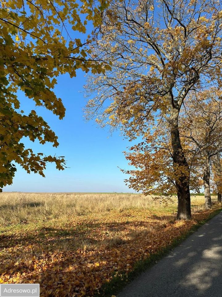 dom wolnostojący, 4 pokoje Obroty. Zdjęcie 17