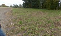 Działka inwestycyjna Nieborów, ul. Spacerowa. Zdjęcie 4