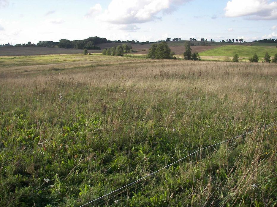 Działka rolna Wilkiejmy. Zdjęcie 4