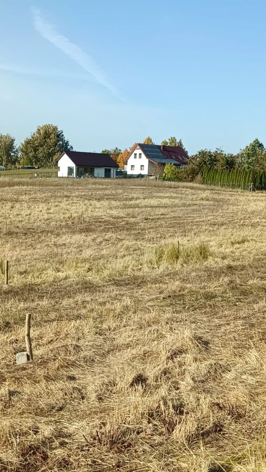 Działka budowlana Strączno. Zdjęcie 3