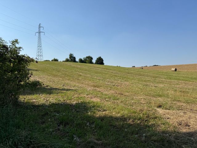 Działka rolna Żerdziny. Zdjęcie 4