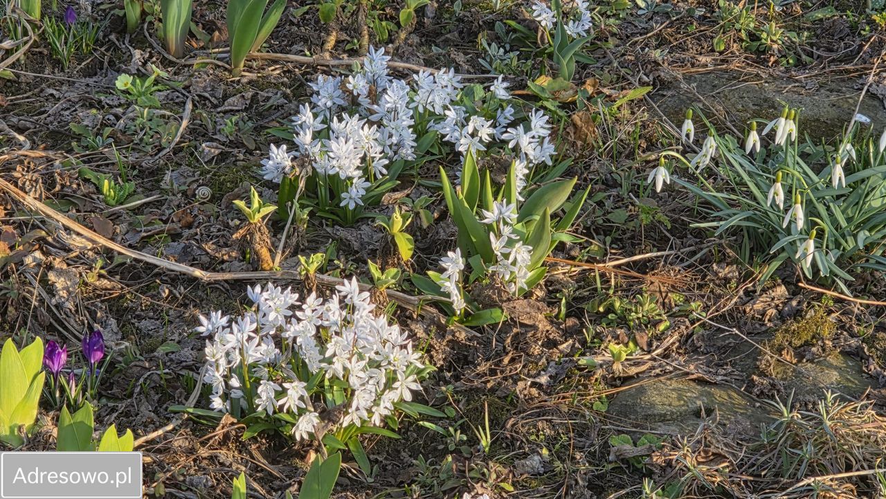 Działka rod Bielsko-Biała Kamienica. Zdjęcie 18