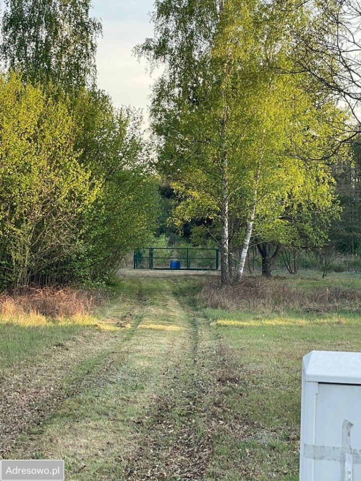 Działka rolno-budowlana Budy Michałowskie, ul. Piękna. Zdjęcie 8