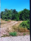Działka budowlana Ostrowiec Świętokrzyski Denków, Tomaszów. Zdjęcie 1