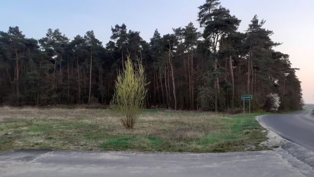 Działka budowlana Grodzisko. Zdjęcie 1