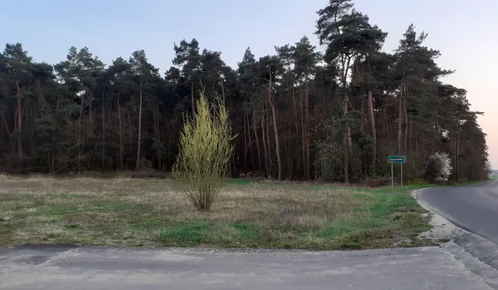 Działka budowlana Grodzisko