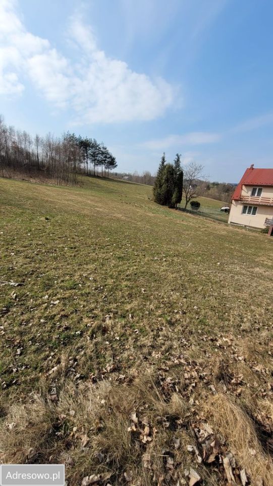 Działka rolno-budowlana Gnojnik. Zdjęcie 7