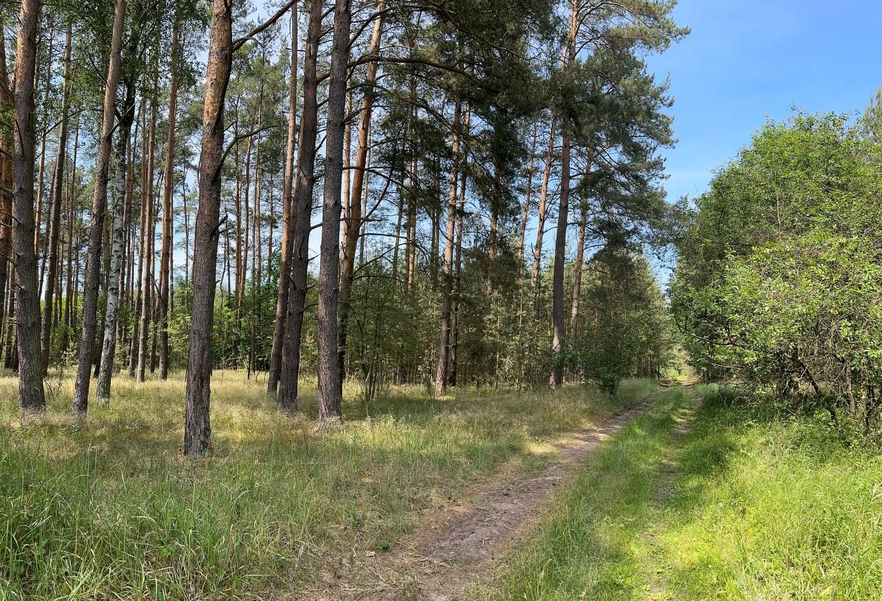 Działka rolna Trzebule. Zdjęcie 3