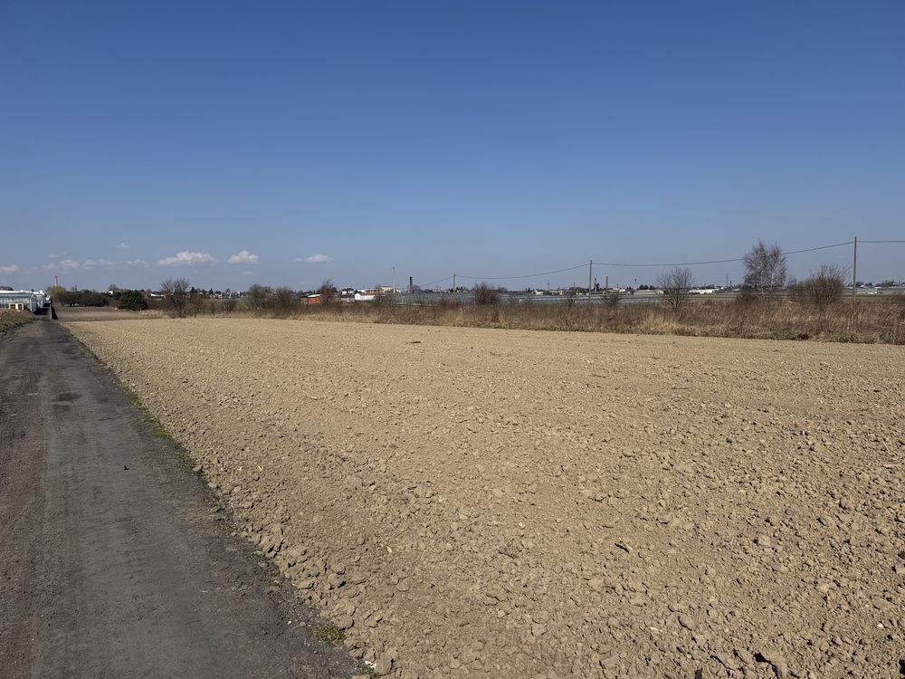 Działka rolna Szosa Turecka. Zdjęcie 4