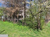 dom wolnostojący, 5 pokoi Kolbuszowa, ul. Mikołaja Reja. Zdjęcie 4