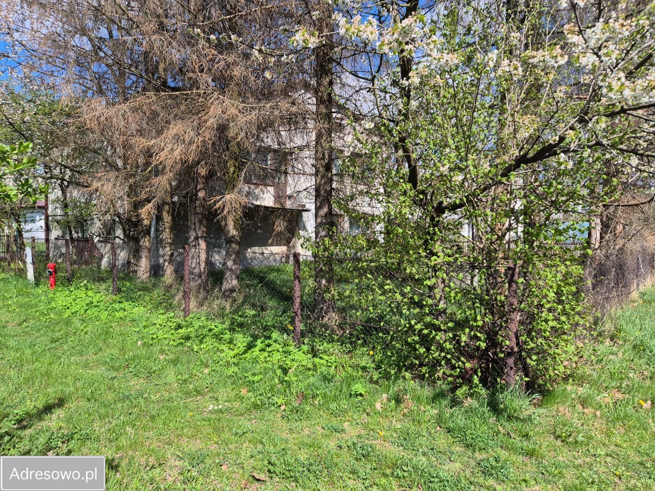 dom wolnostojący, 5 pokoi Kolbuszowa, ul. Mikołaja Reja. Zdjęcie 5