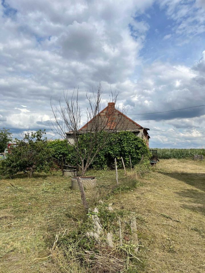 gospodarstwo Zawidowice. Zdjęcie 3