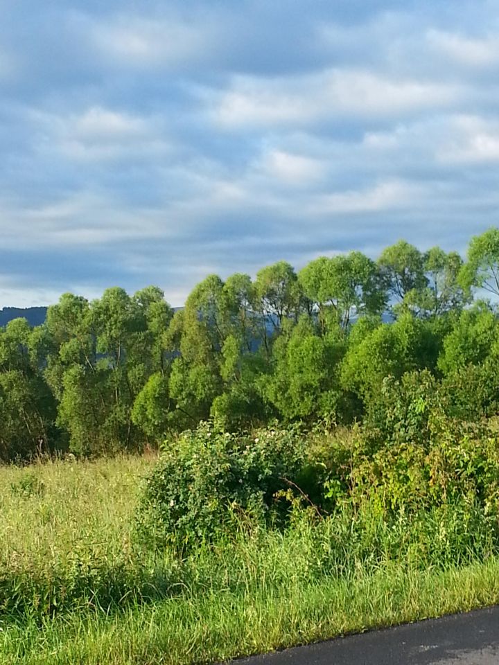 Działka inwestycyjna Gilowice Rozcięta, ul. Zakopiańska. Zdjęcie 7