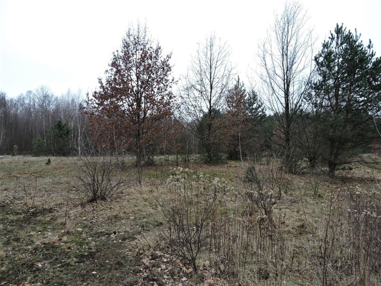 Działka rolna Budziska, ul. Ptasia. Zdjęcie 17