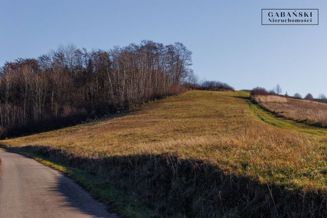 Działka budowlana Zborowice. Zdjęcie 13