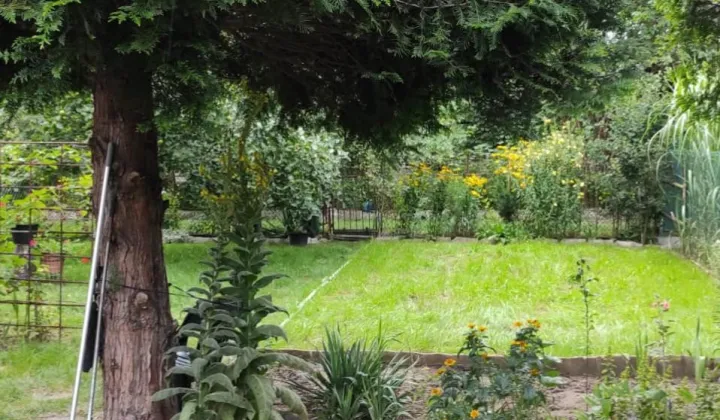 Działka rod Będzin Górki Małobądzkie, ul. Małobądzka