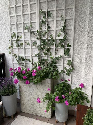 Mieszkanie 3-pokojowe Józefów Michalin, ul. Piaskowa. Zdjęcie 8