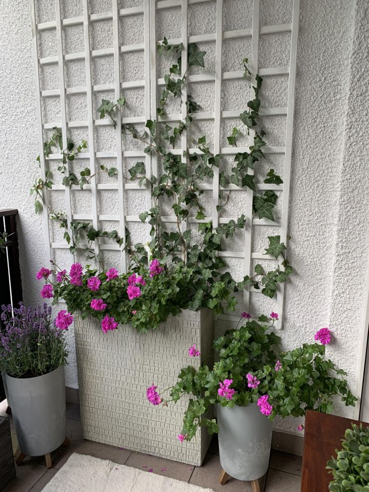 Mieszkanie 3-pokojowe Józefów Michalin, ul. Piaskowa. Zdjęcie 8