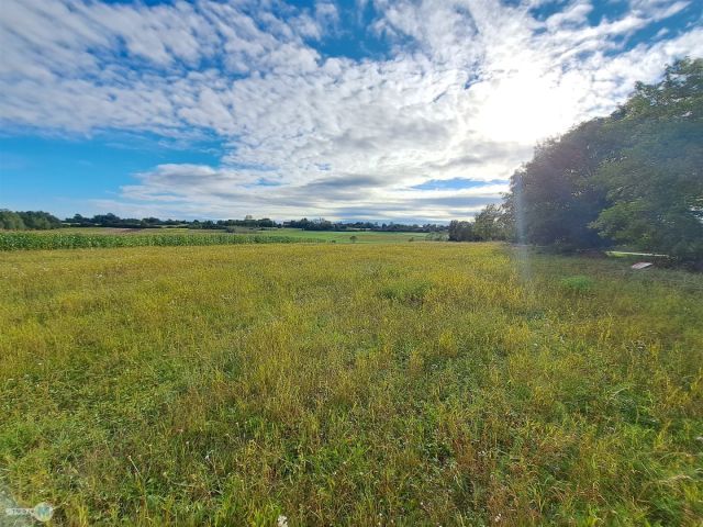 Działka Drugnia. Zdjęcie 4