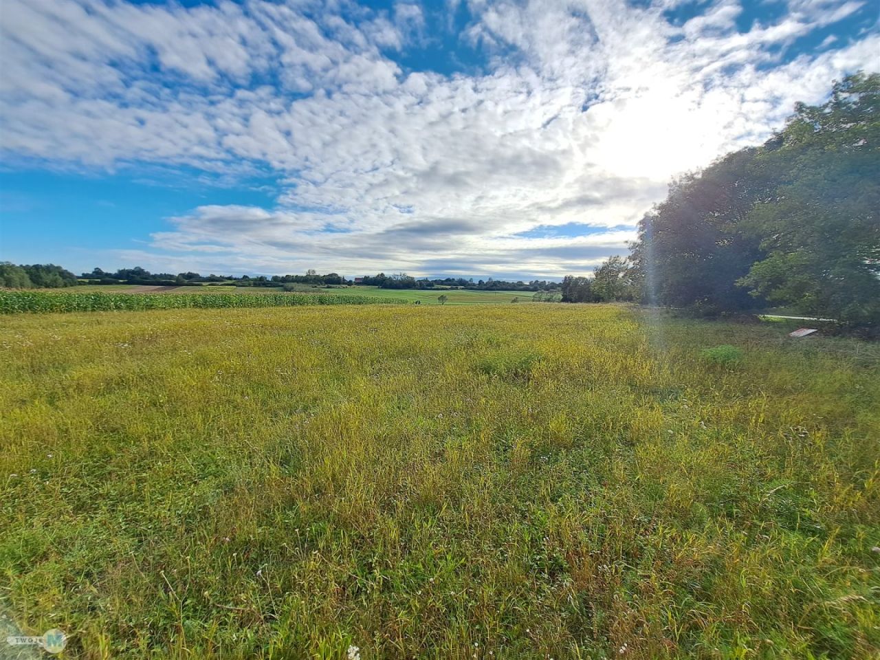 Działka Drugnia. Zdjęcie 4