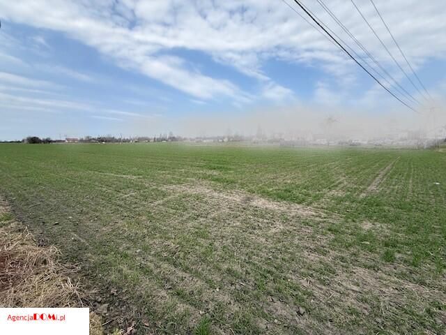 Działka rolna Żaby. Zdjęcie 2
