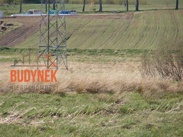 Działka rolna Karsino. Zdjęcie 10