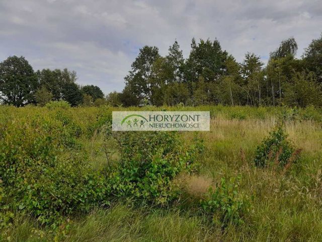 Działka budowlana Mściszewice. Zdjęcie 5