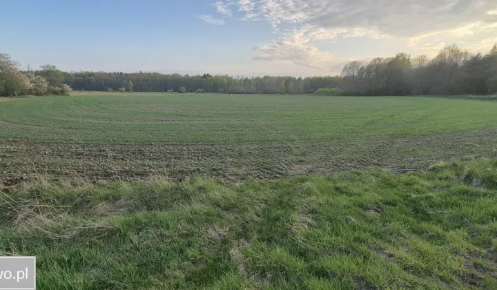 Działka rolna Wielichowo