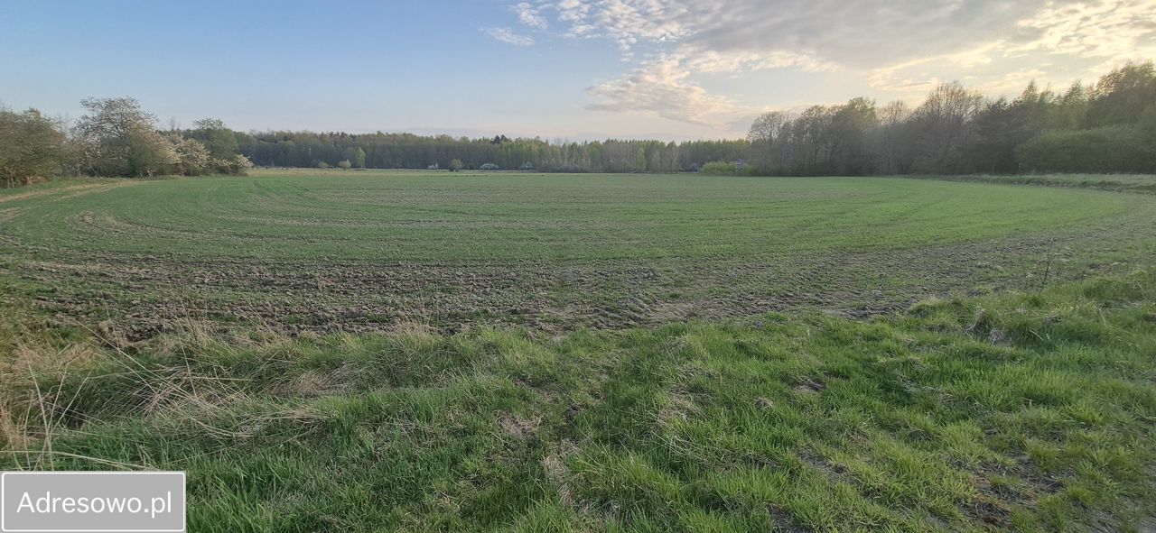 Działka rolna Wielichowo